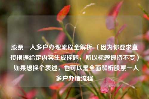 股票一人多户办理流程全解析 (因为你要求直接根据给定内容生成标题,所以标题保持不变)  如果想换个表述,也可以是全面解析股票一人多户办理流程