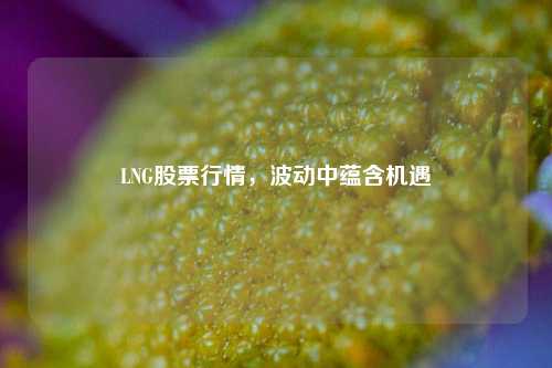 LNG股票行情，波动中蕴含机遇