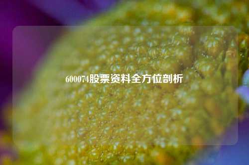600074股票资料全方位剖析