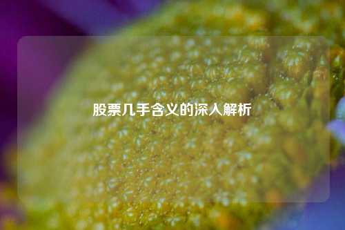 股票几手含义的深入解析