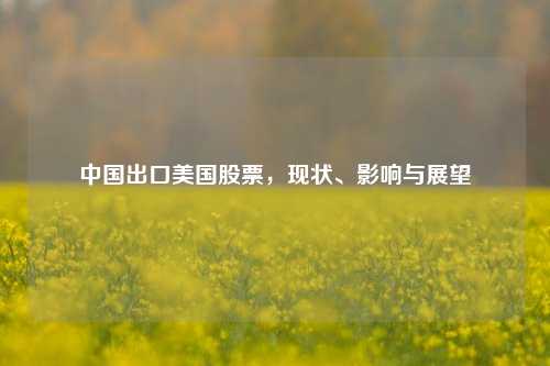 中国出口美国股票,现状、影响与展望 中国出口美国股票,现状、影响与展望