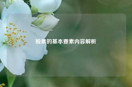 股票的基本要素内容解析