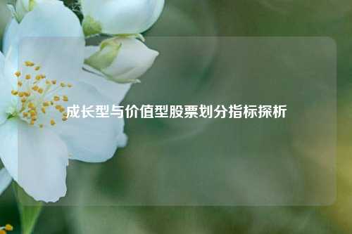 成长型与价值型股票划分指标探析 成长型与价值型股票划分指标探析
