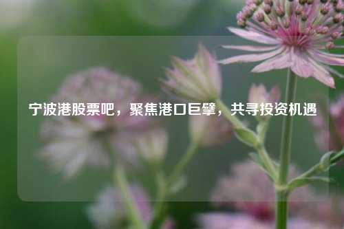宁波港股票吧,聚焦港口巨擘,共寻投资机遇 宁波港股票吧,聚焦港口巨擘,共寻投资机遇