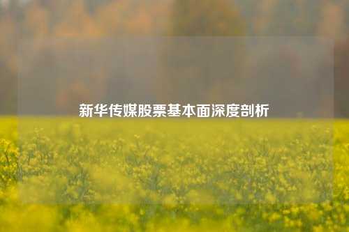新华传媒股票基本面深度剖析