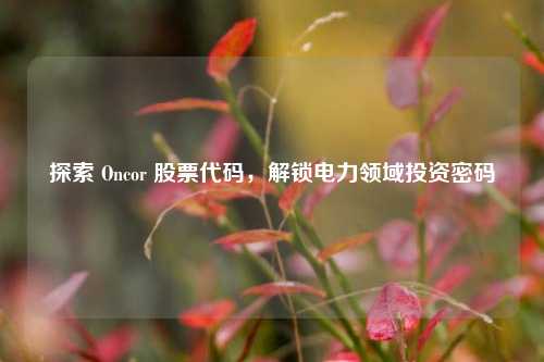 探索 Oncor 股票代码，解锁电力领域投资密码