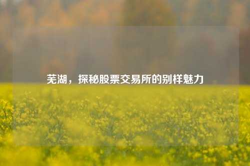 芜湖,探秘股票交易所的别样魅力 芜湖,探秘股票交易所的别样魅力