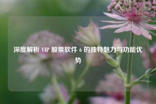 深度解析 VIP 股票软件 6 的独特魅力与功能优势 深度解析 VIP 股票软件 6 的独特魅力与功能优势