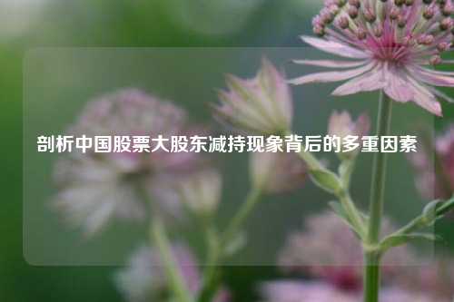 剖析中国股票大股东减持现象背后的多重因素
