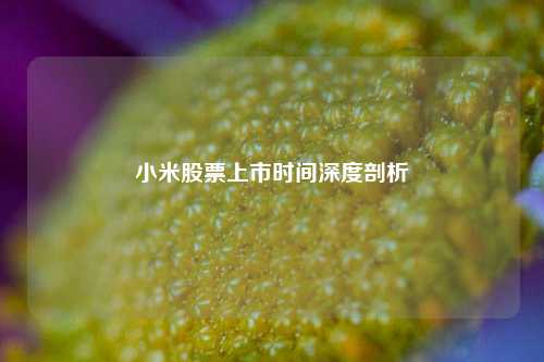 小米股票上市时间深度剖析