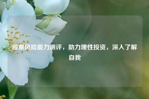 股票风险能力测评,助力理性投资,深入了解自我 股票风险能力测评,助力理性投资,深入了解自我
