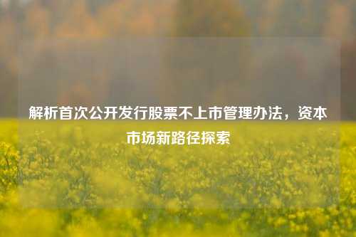 解析首次公开发行股票不上市管理办法,资本市场新路径探索 解析首次公开发行股票不上市管理办法,资本市场新路径探索