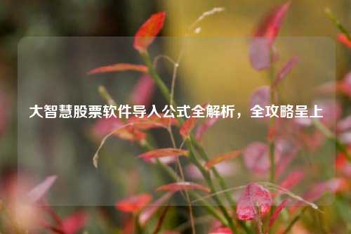 大智慧股票软件导入公式全解析，全攻略呈上