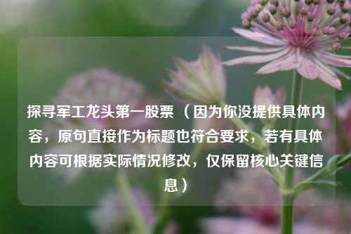 探寻军工龙头第一股票 (因为你没提供具体内容,原句直接作为标题也符合要求,若有具体内容可根据实际情况修改,仅保留核心关键信息) 探寻军工龙头第一股票 (因为你没提供具体内容,原句直接作为标题也符合要求,若有具体内容可根据实际情况修改,仅保留核心关键信息)