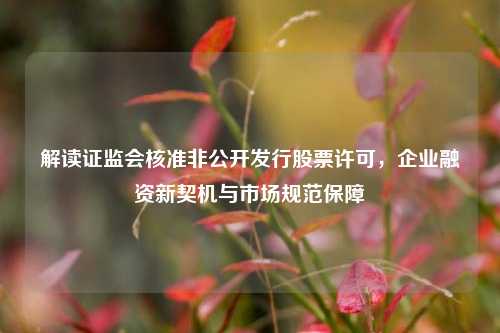 解读证监会核准非公开发行股票许可,企业融资新契机与市场规范保障 解读证监会核准非公开发行股票许可,企业融资新契机与市场规范保障