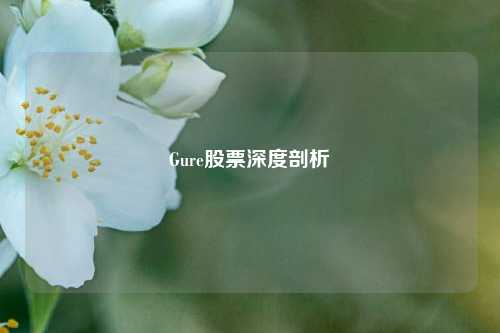 Gure股票深度剖析 Gure股票深度剖析