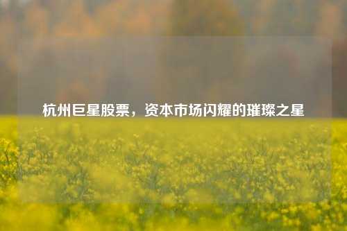 杭州巨星股票,资本市场闪耀的璀璨之星 杭州巨星股票,资本市场闪耀的璀璨之星