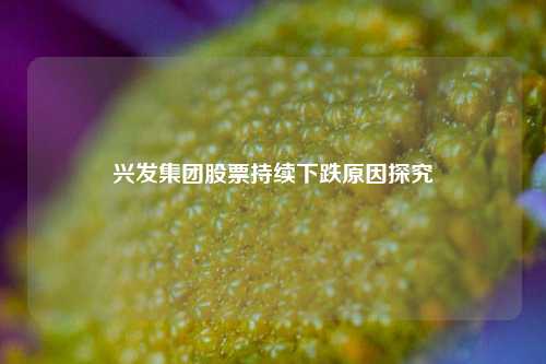 兴发集团股票持续下跌原因探究 兴发集团股票持续下跌原因探究