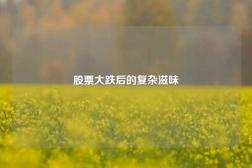 股票大跌后的复杂滋味 股票大跌后的复杂滋味