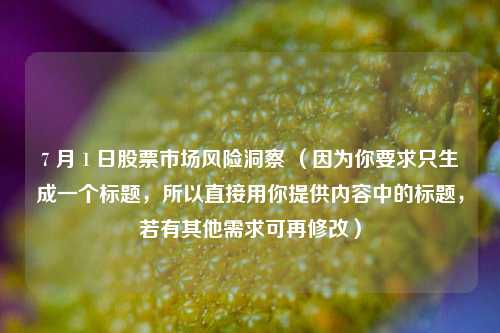 7 月 1 日股票市场风险洞察 （因为你要求只生成一个标题，所以直接用你提供内容中的标题，若有其他需求可再修改）