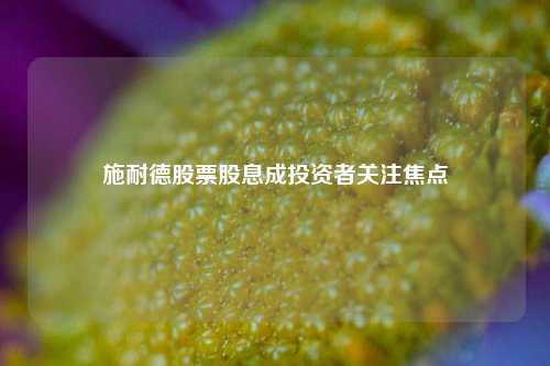 施耐德股票股息成投资者关注焦点