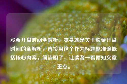 股票开盘时间全解析，本身就是关于股票开盘时间的全解析，直接用这个作为标题能准确概括核心内容，简洁明了，让读者一看便知文章重点。