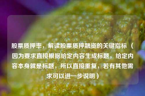 股票质押率，解读股票质押融资的关键指标 （因为要求直接根据给定内容生成标题，给定内容本身就是标题，所以直接重复，若有其他需求可以进一步说明）