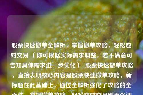 股票快速撤单全解析，掌握撤单攻略，轻松应对交易 （你可根据实际需求调整，若不满意可告知具体需求进一步优化）  股票快速撤单攻略，直接表明核心内容是股票快速撤单攻略，新标题在此基础上，通过全解析强化了攻略的全面性，掌握撤单攻略，轻松应对交易则更强调对投资者实际操作的帮助，让投资者能更清晰地了解通过掌握攻略可实现的效果，同时添加话题标签以增加搜索曝光度。