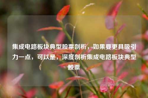 集成电路板块典型股票剖析，如果要更具吸引力一点，可以是，深度剖析集成电路板块典型股票