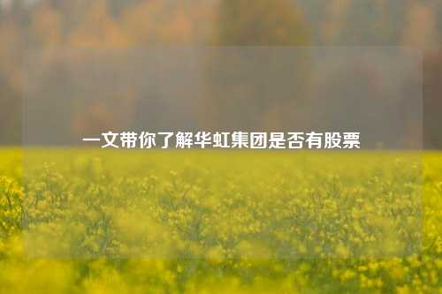一文带你了解华虹集团是否有股票