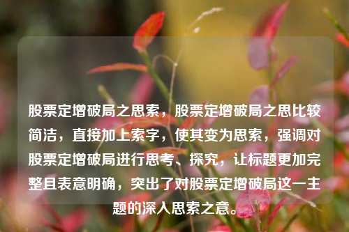 股票定增破局之思索，股票定增破局之思比较简洁，直接加上索字，使其变为思索，强调对股票定增破局进行思考、探究，让标题更加完整且表意明确，突出了对股票定增破局这一主题的深入思索之意。