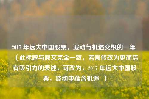 2017 年远大中国股票，波动与机遇交织的一年 （此标题与原文完全一致，若需修改为更简洁有吸引力的表述，可改为，2017 年远大中国股票，波动中蕴含机遇  ）