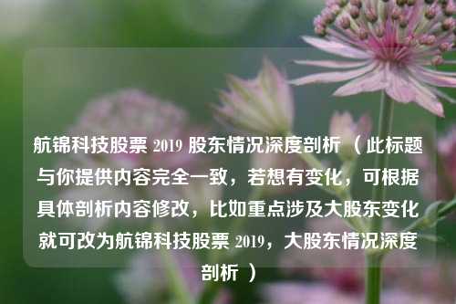 航锦科技股票 2019 股东情况深度剖析 （此标题与你提供内容完全一致，若想有变化，可根据具体剖析内容修改，比如重点涉及大股东变化就可改为航锦科技股票 2019，大股东情况深度剖析 ）