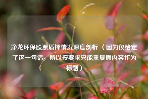 净龙环保股票质押情况深度剖析 （因为仅给定了这一句话，所以按要求只能重复原内容作为标题）