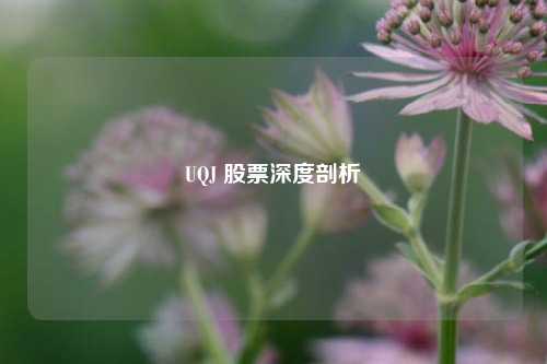 UQJ 股票深度剖析