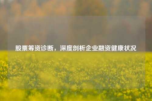 股票筹资诊断，深度剖析企业融资健康状况