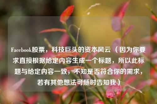 Facebook股票，科技巨头的资本风云 （因为你要求直接根据给定内容生成一个标题，所以此标题与给定内容一致，不知是否符合你的需求，若有其他想法可随时告知我）