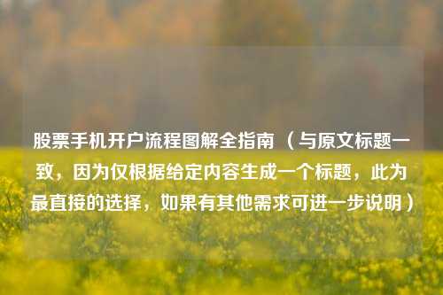 股票手机开户流程图解全指南 （与原文标题一致，因为仅根据给定内容生成一个标题，此为最直接的选择，如果有其他需求可进一步说明）