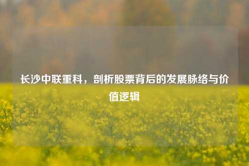 长沙中联重科，剖析股票背后的发展脉络与价值逻辑