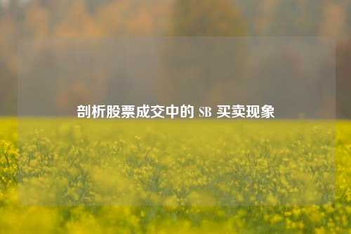 剖析股票成交中的 SB 买卖现象
