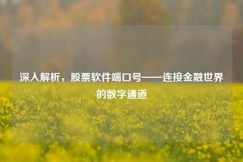 深入解析,股票软件端口号——连接金融世界的数字通道