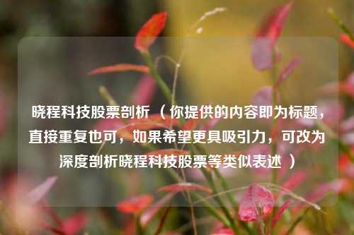 晓程科技股票剖析 （你提供的内容即为标题，直接重复也可，如果希望更具吸引力，可改为深度剖析晓程科技股票等类似表述 ）