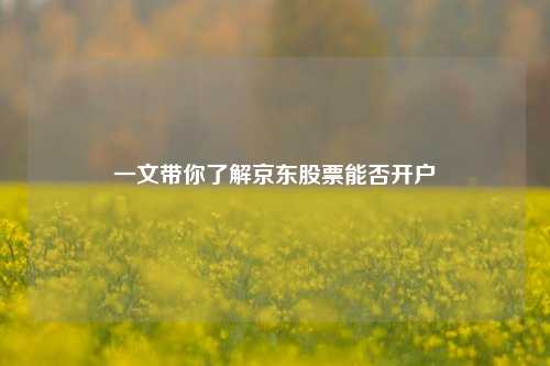 一文带你了解京东股票能否开户