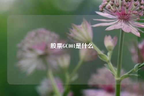 股票GC001是什么