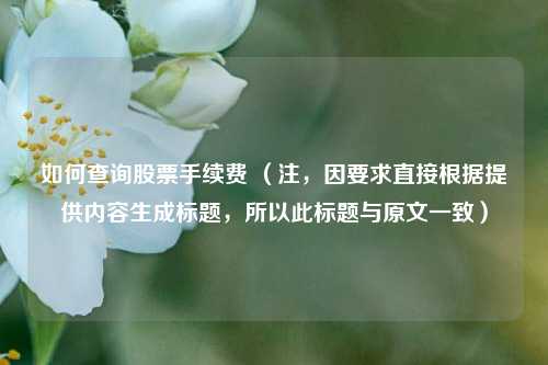 如何查询股票手续费 （注，因要求直接根据提供内容生成标题，所以此标题与原文一致）