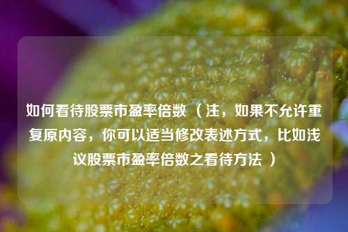 如何看待股票市盈率倍数 （注，如果不允许重复原内容，你可以适当修改表述方式，比如浅议股票市盈率倍数之看待方法 ）