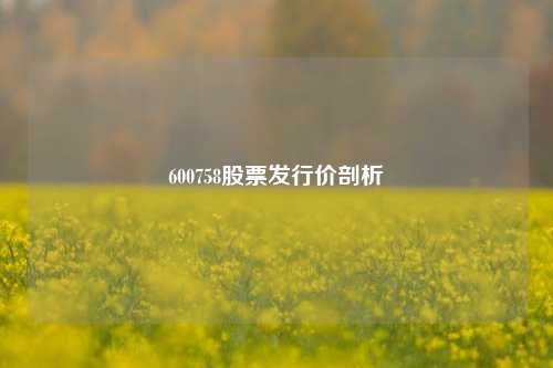 600758股票发行价剖析