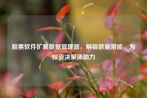 股票软件扩展数据管理器，解锁数据潜能，为投资决策添助力