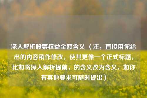 深入解析股票权益金额含义 （注，直接用你给出的内容稍作修改，使其更像一个正式标题，比如将深入解析提前，的含义改为含义，如你有其他要求可随时提出）