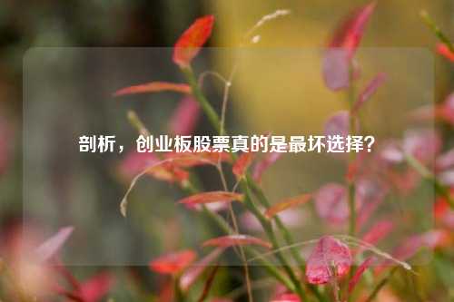 剖析，创业板股票真的是最坏选择？